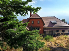 Гостиница Hotel Villa Dorata, Рагална